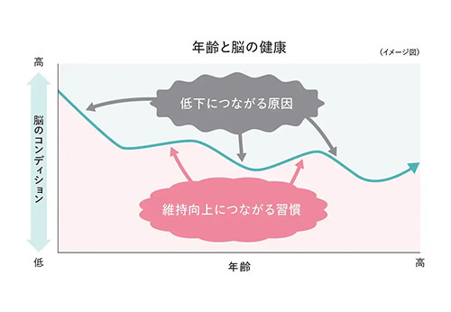 年齢と脳の健康の図