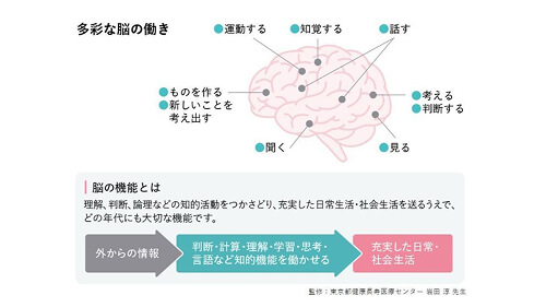 脳の機能の説明の図
