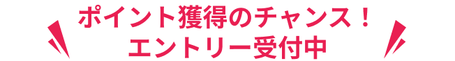 ポイント獲得のチャンス！エントリー受付中