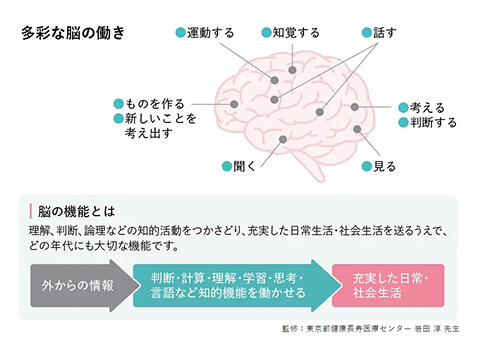 脳の機能の説明の図